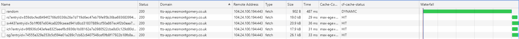 Note the waterfall with all entries cached.